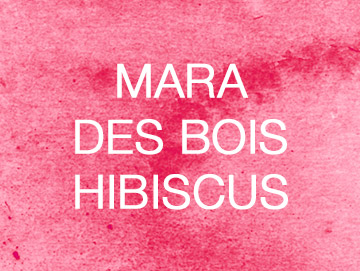 maradesboishibiscus